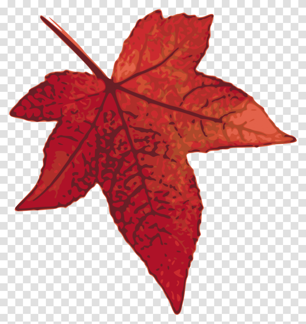 Fall Clipart Maple Tree Red Oak Leaf Clipart, Plant, Maple Leaf Transparent Png