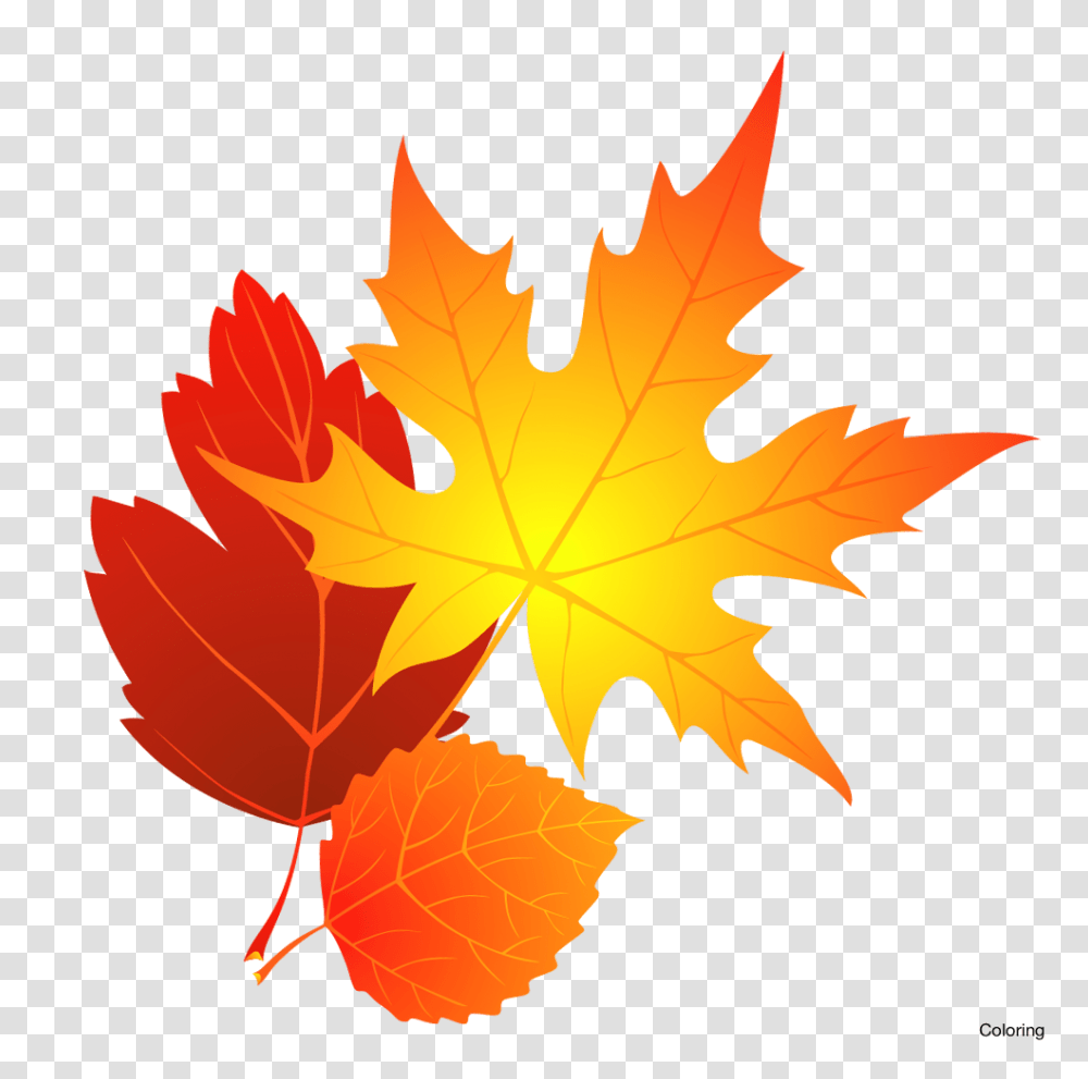 Fall Clipart November, Leaf, Plant, Tree, Maple Transparent Png