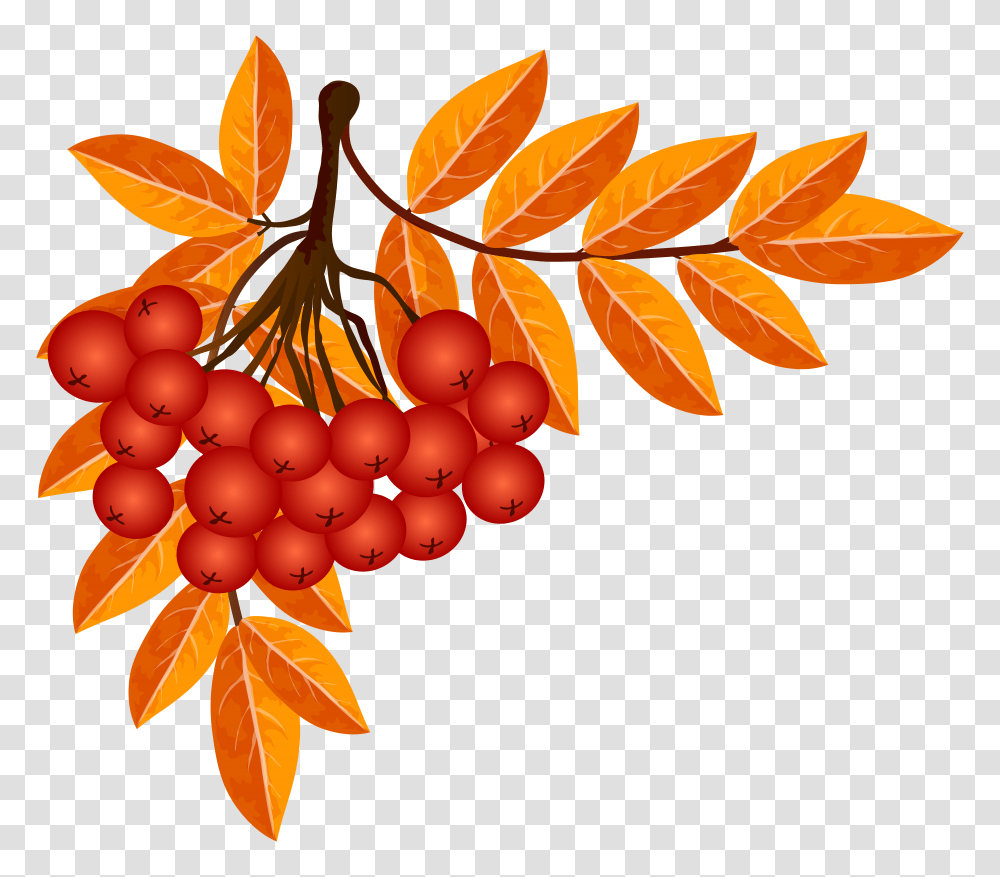 Fall Decoration Clip Art Transparent Png