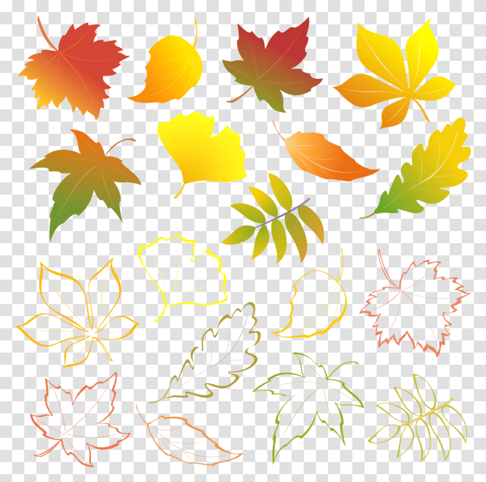 Fall Flower Clipart Leaves, Leaf, Plant, Maple Leaf, Tree Transparent Png
