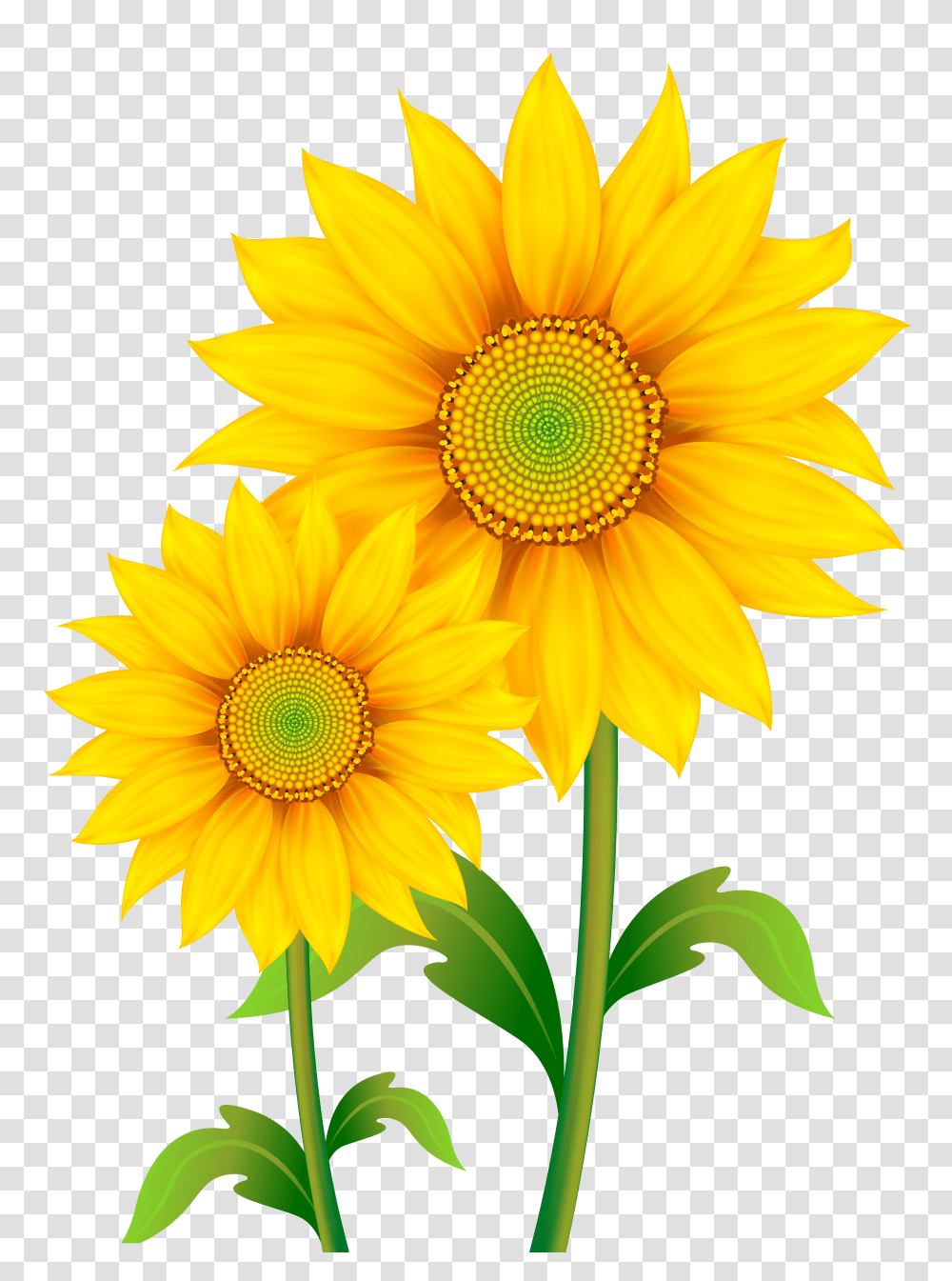 Fall Flowers Clip Art Transparent Png