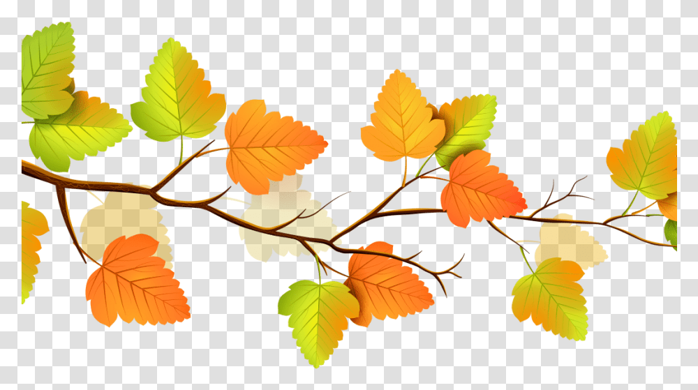 Fall Flowers Clipart Fall Leaves Background, Leaf, Plant, Green, Tree Transparent Png