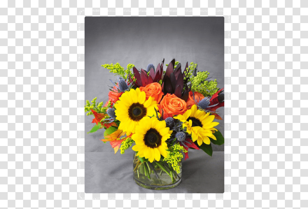 Fall Flowers, Floral Design, Pattern Transparent Png