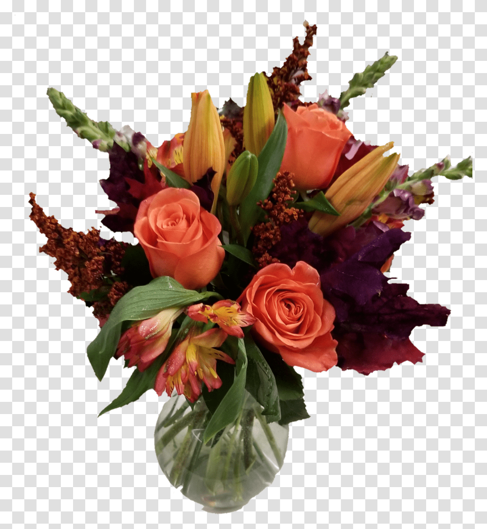 Fall Flowers, Plant, Floral Design, Pattern Transparent Png