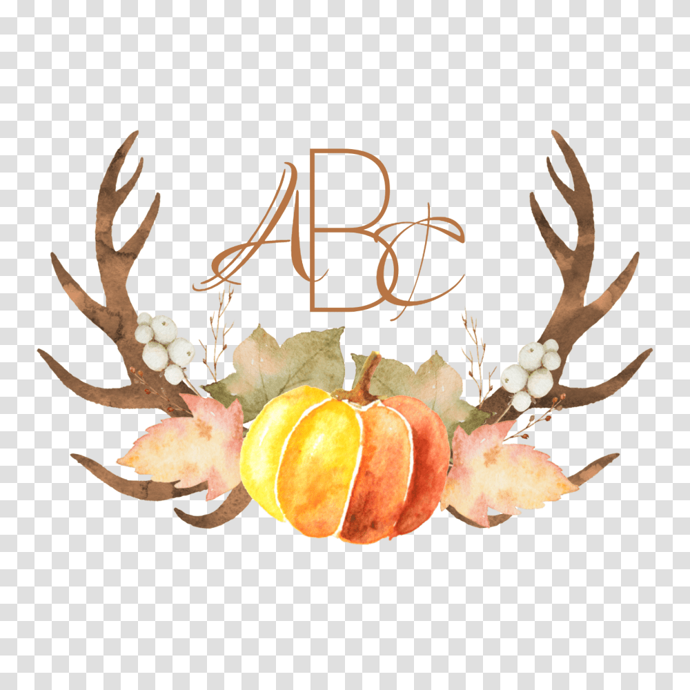 Fall Halloween And Thanksgiving, Plant, Fruit, Food, Citrus Fruit Transparent Png