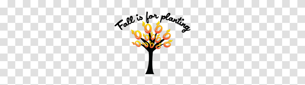 Fall Is A Great Time For Planting Trees And Shrubs, Diwali, Fire Transparent Png