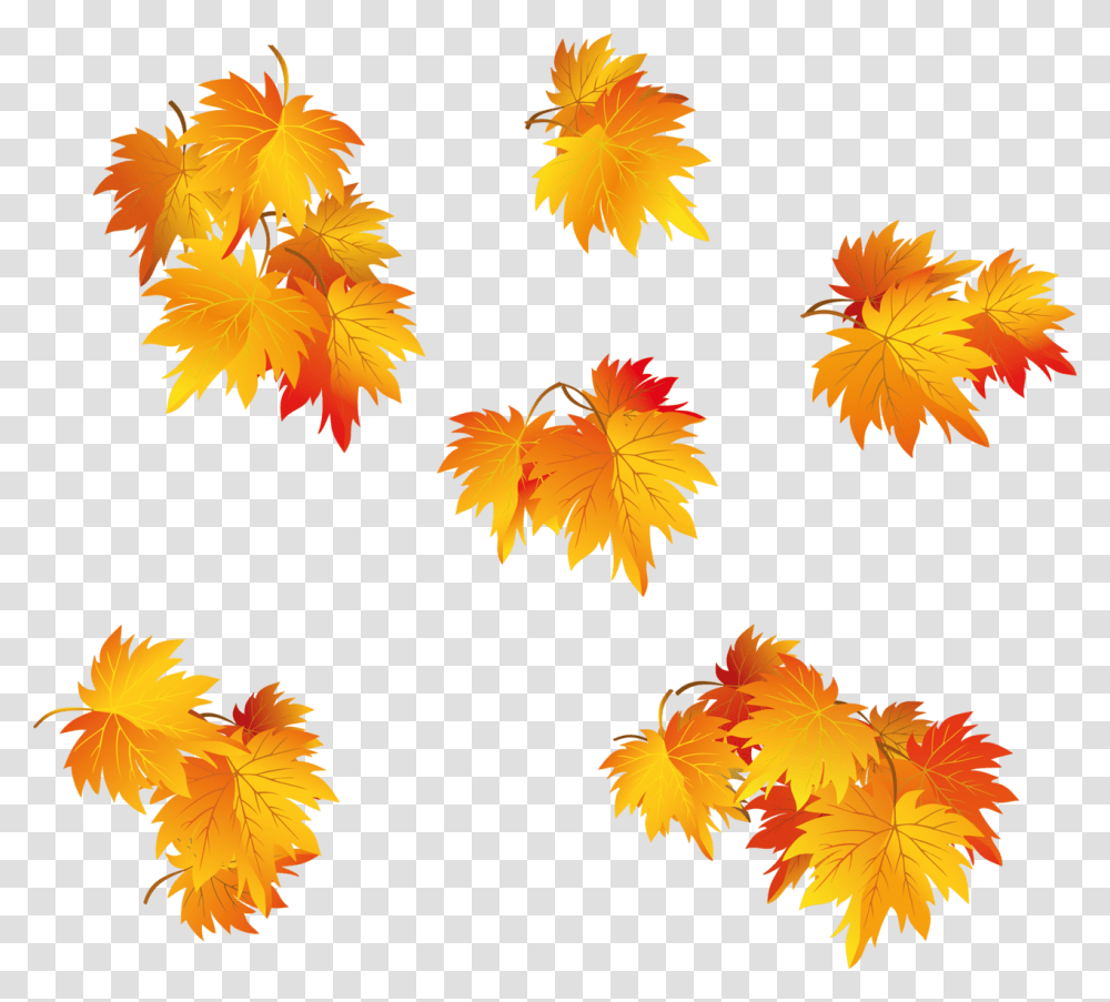 листья осенние фото пнг