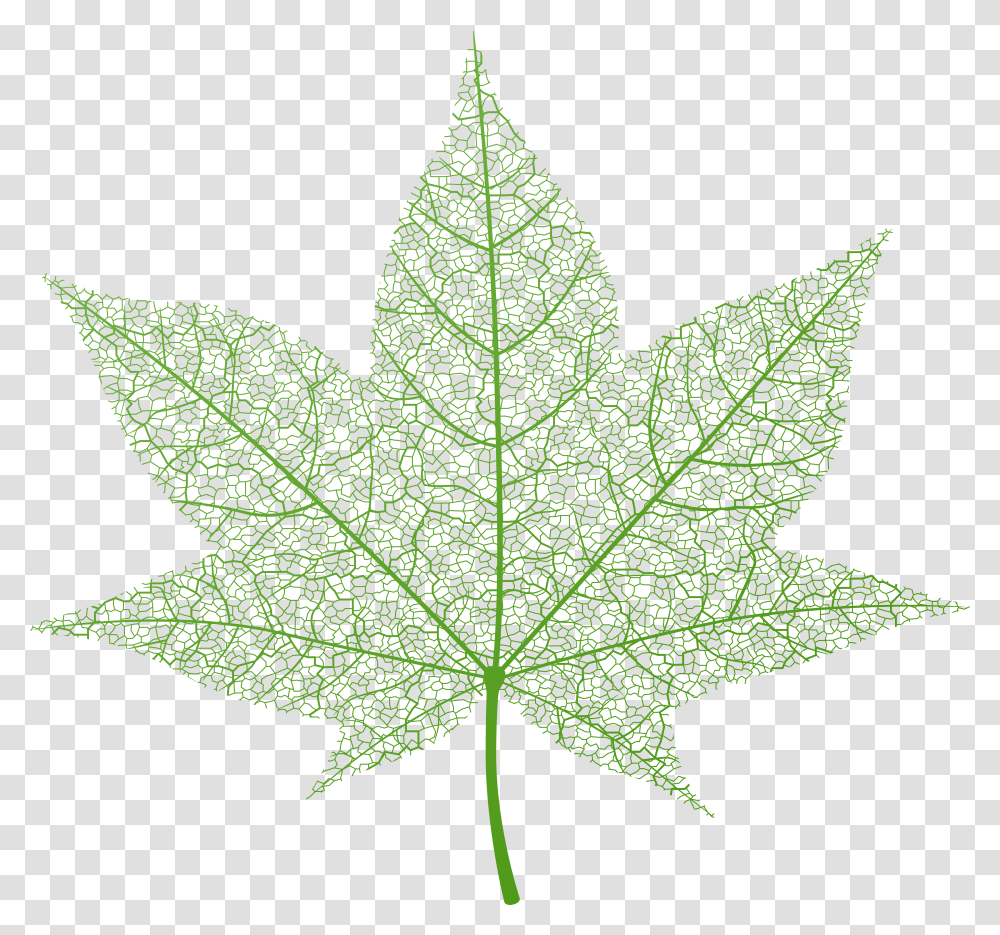 Fall Leaf Clip Art Green Autumn Leaf Portable Network Graphics, Plant, Tree, Maple Leaf Transparent Png