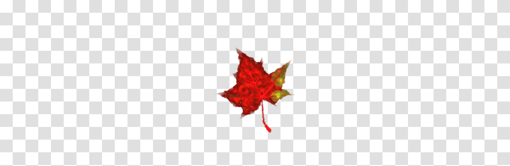 Fall Leaf Clip Art, Plant, Tree, Maple, Maple Leaf Transparent Png