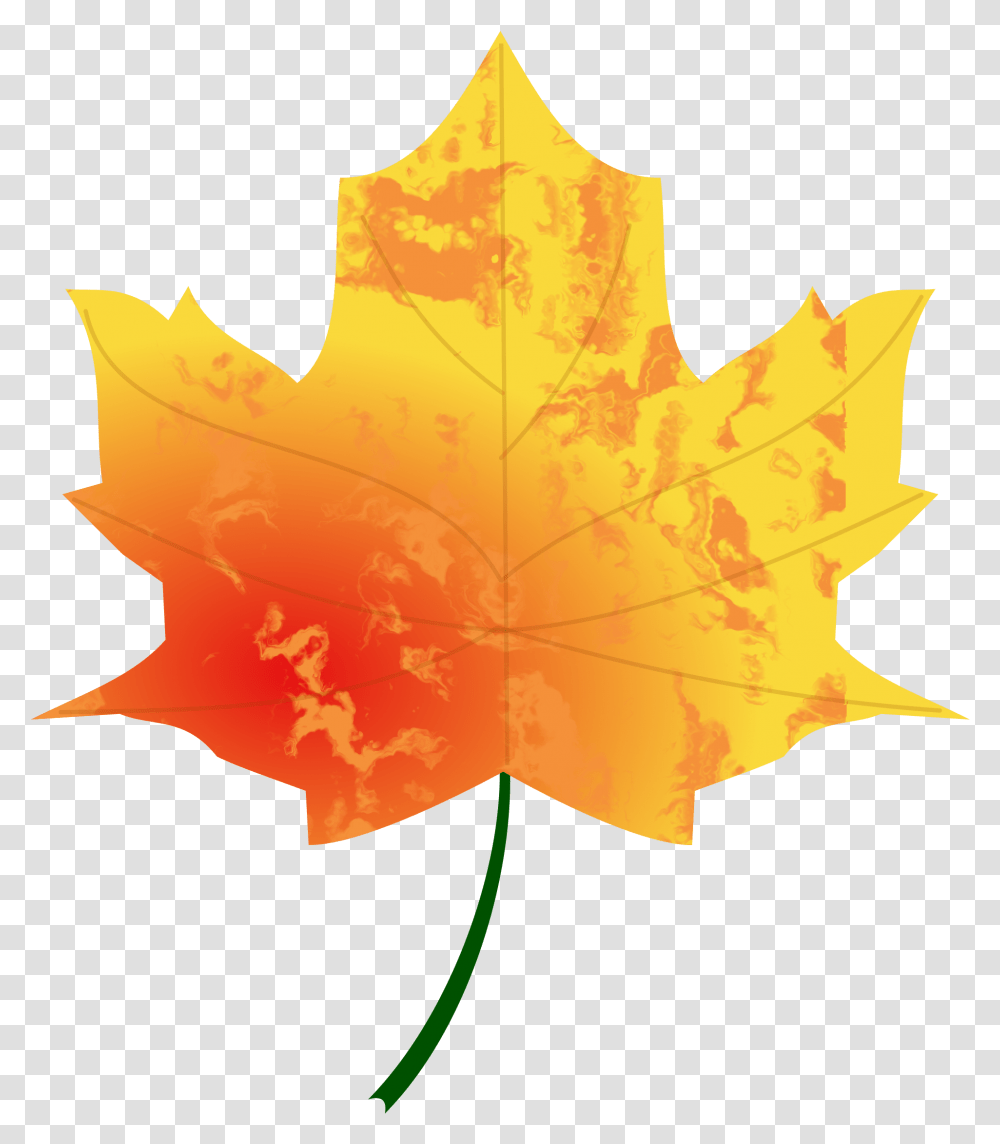 Fall Leaf Clipart Autumn Leaves, Plant, Tree, Maple Leaf, Person Transparent Png