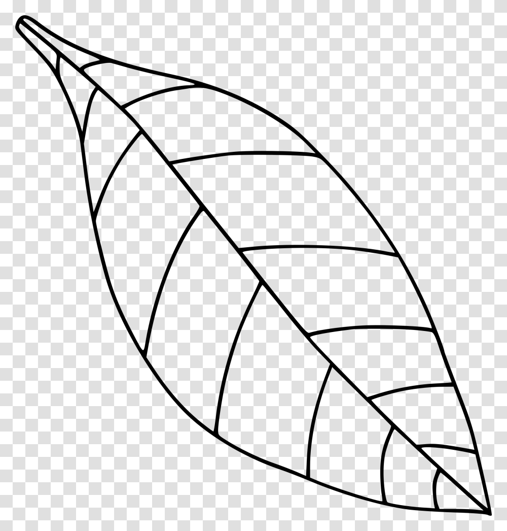 Fall Leaf Clipart Black And White, Plant Transparent Png