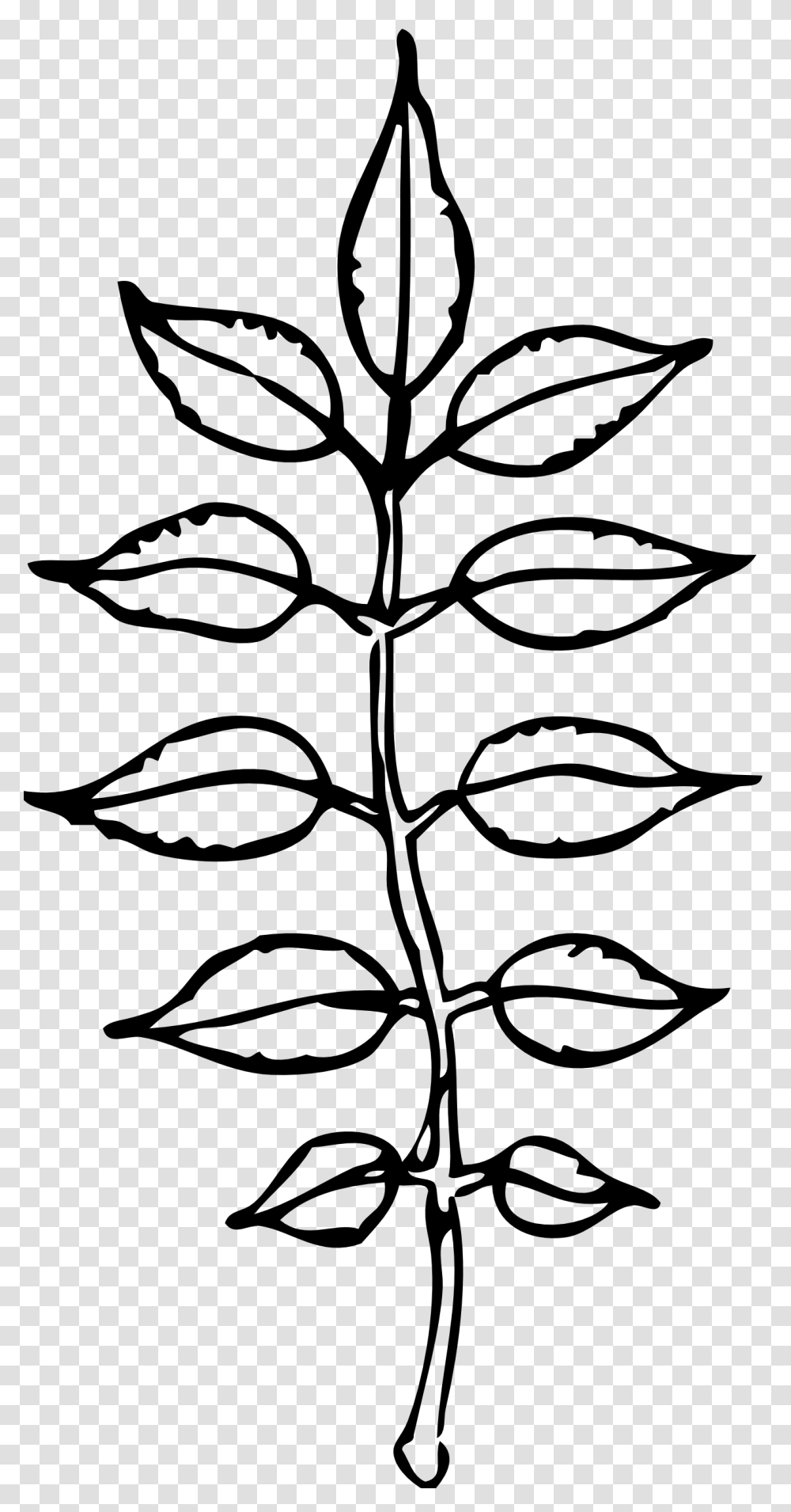 Fall Leaf Clipart Black And White, Silhouette, Green, Plant, Nature Transparent Png