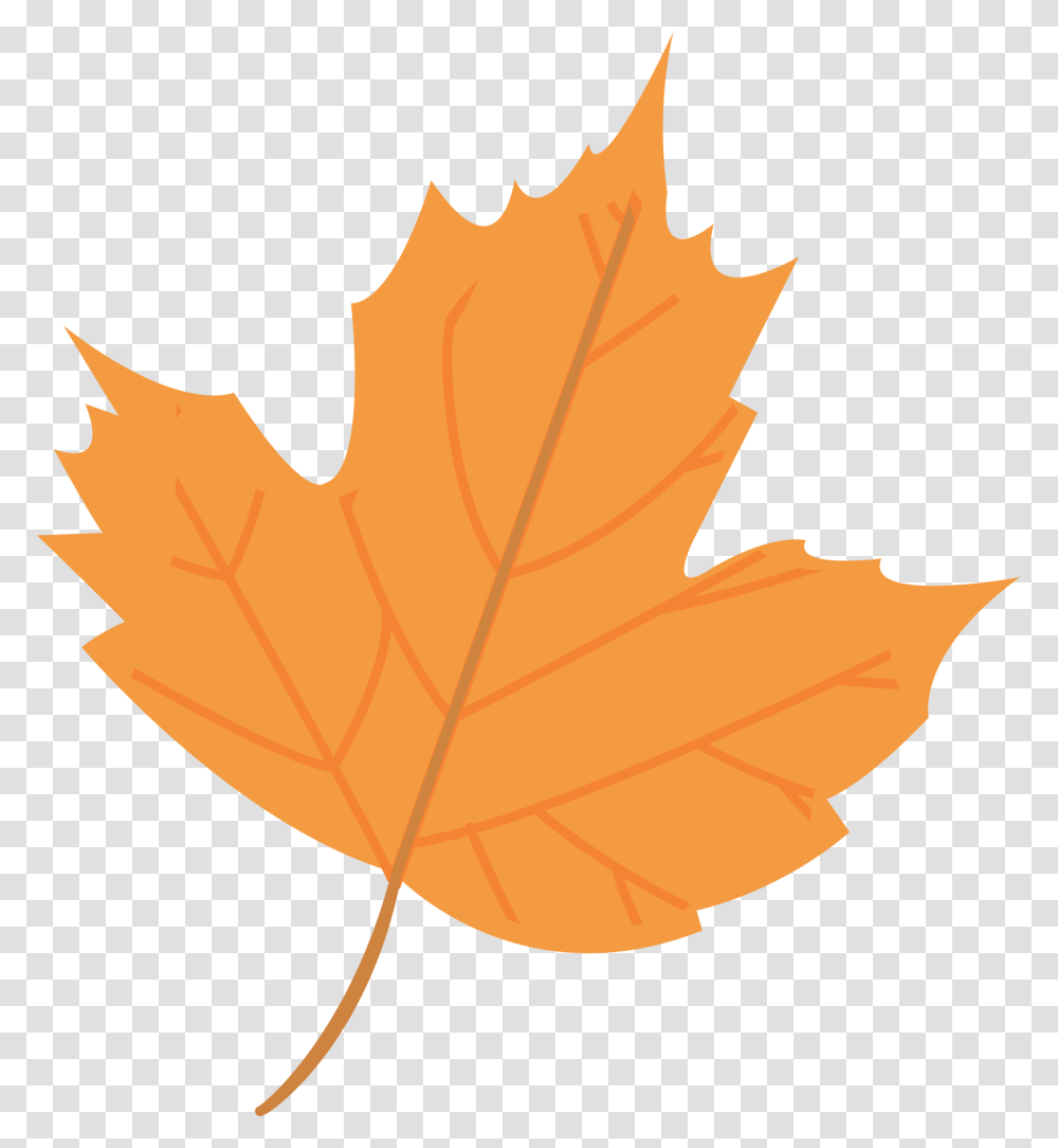 Fall Leaf Clipart Orange Fall Leaf Clipart, Plant, Tree, Maple Leaf, Person Transparent Png