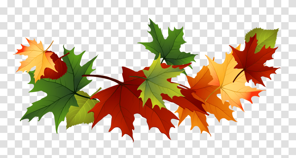 Fall Leaf Pile Clipart Clip Art Images, Plant, Tree, Maple Leaf, Painting Transparent Png