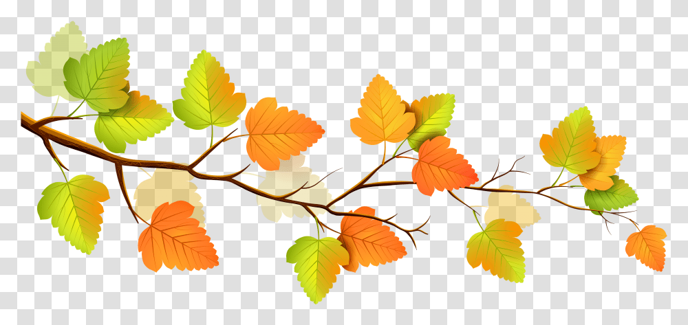 Fall, Leaf, Plant, Green, Tree Transparent Png