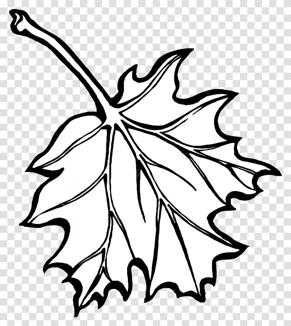 Fall Leaf Sketch, Plant, Maple Leaf, Tree, Painting Transparent Png