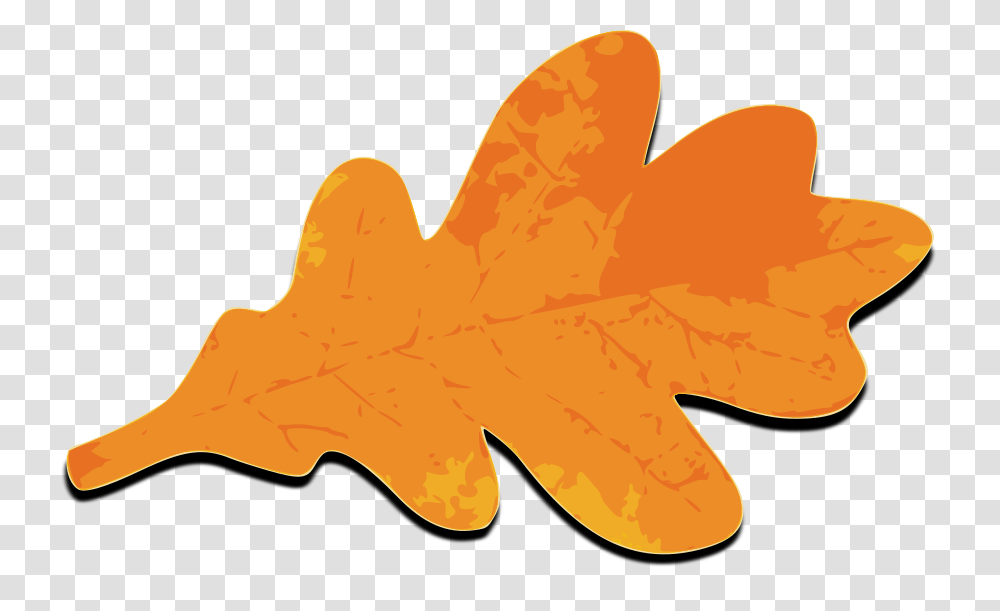 Fall Leafs Orange Clipart For Web, Plant, Tree, Maple Leaf Transparent Png