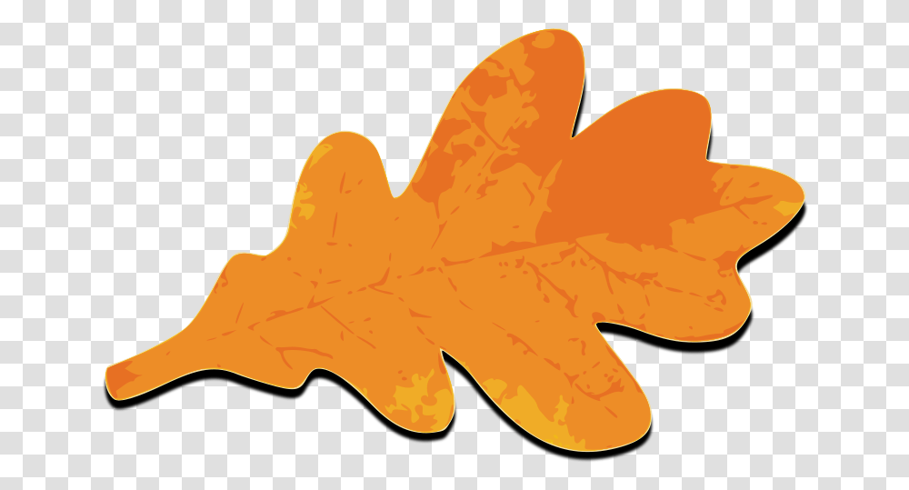Fall Leafs Orange Images, Plant, Tree, Maple Leaf Transparent Png