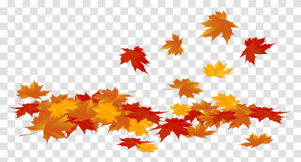 Fall Leave, Leaf, Plant, Tree, Maple Transparent Png