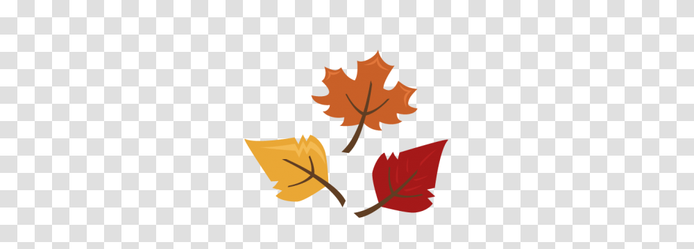 Fall Leaves Autumn For Scrapbooking Cute, Leaf, Plant, Maple Leaf, Tree Transparent Png