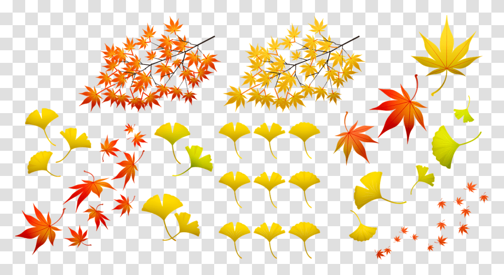 Fall Leaves Autumn Leaf Nature Colorful Fall Leaf Foglie Autunnali Cartone Animato, Plant, Tree, Maple Leaf Transparent Png
