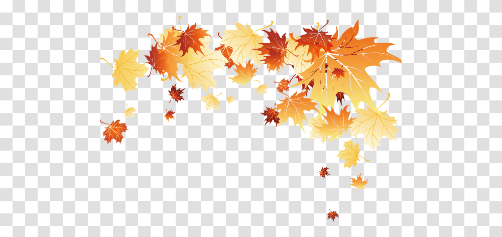 Fall Leaves Background Autumn Leaves Falling, Leaf, Plant, Tree, Maple Transparent Png
