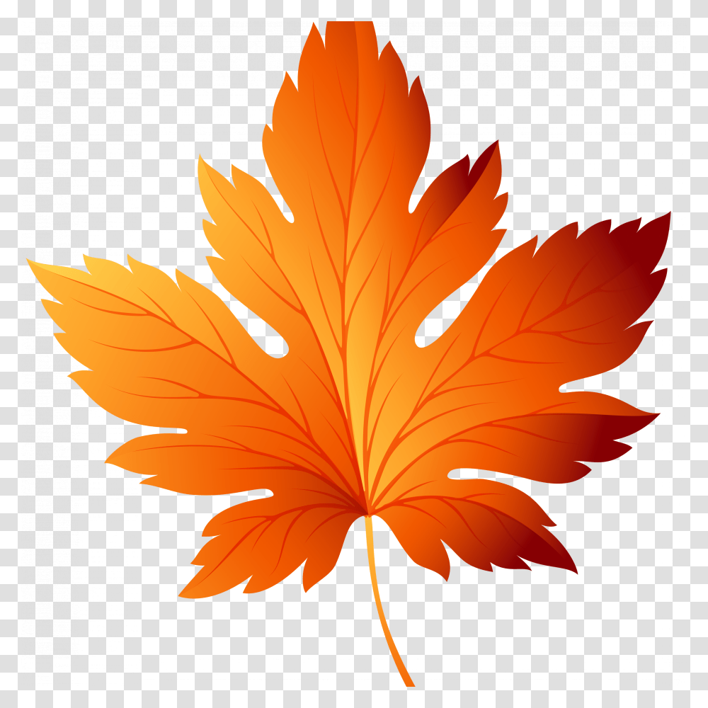 Fall Leaves Background Clipart Clip Art Fall Leaf, Plant, Tree, Maple Leaf Transparent Png