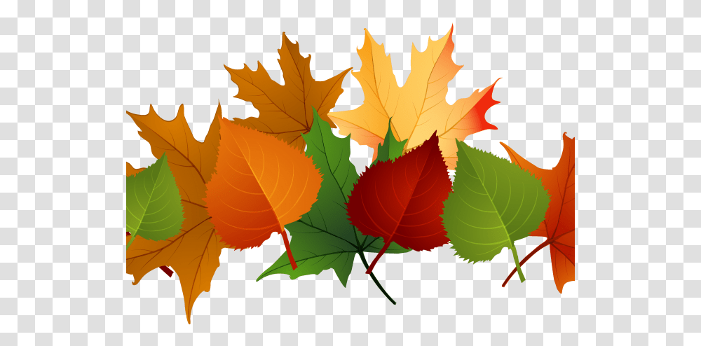 Fall Leaves Background, Leaf, Plant, Tree, Maple Leaf Transparent Png
