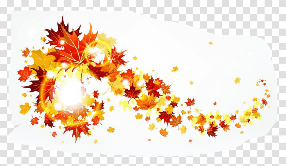 Fall Leaves Background, Leaf, Plant, Tree, Maple Transparent Png