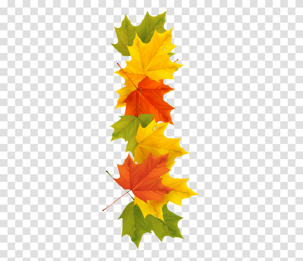 Fall Leaves Border Autumn Trail Clip Art Hd Download Orange Leaf White Background, Plant, Tree, Maple, Maple Leaf Transparent Png