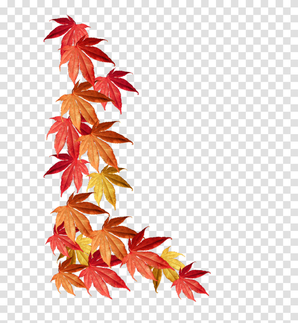 Fall Leaves Border Clipart Clip Art Football, Leaf, Plant, Tree, Maple Transparent Png