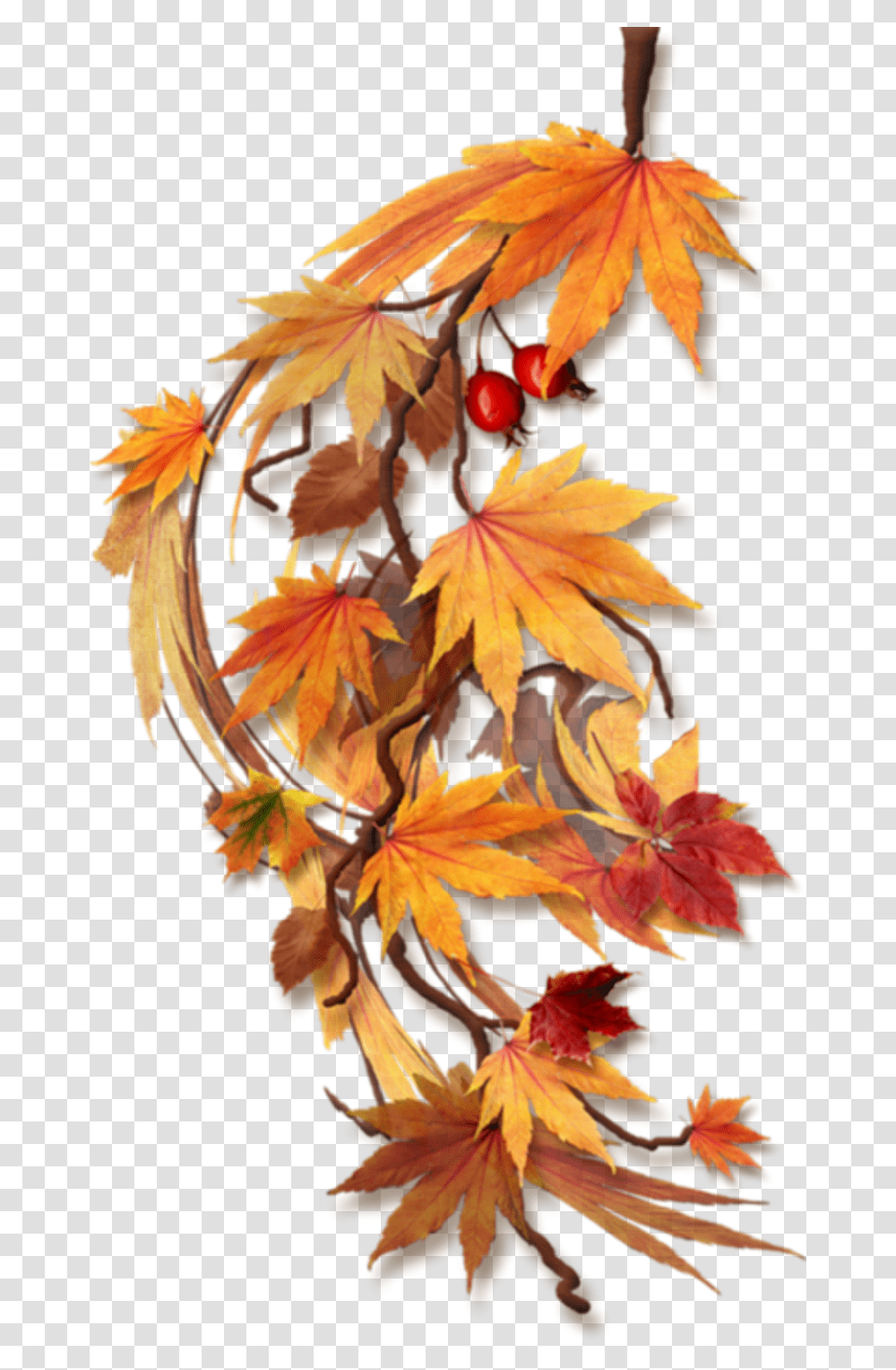 Fall Leaves Border Clipart Feuilles D Automne, Leaf, Plant, Tree, Maple Transparent Png