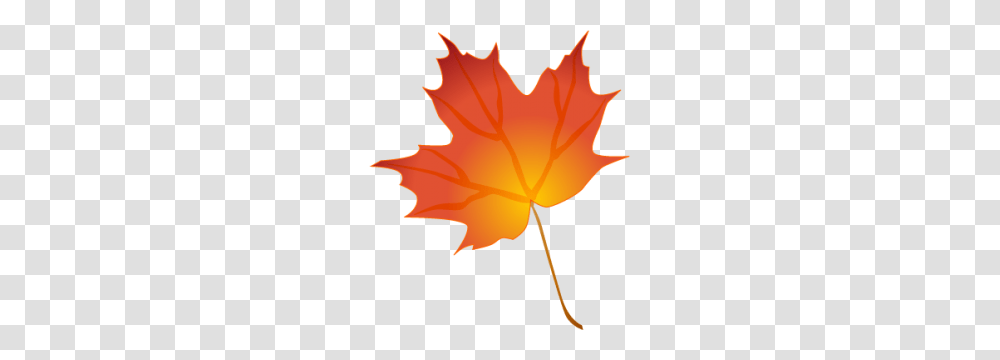 Fall Leaves Border Clipart, Leaf, Plant, Tree, Maple Leaf Transparent Png