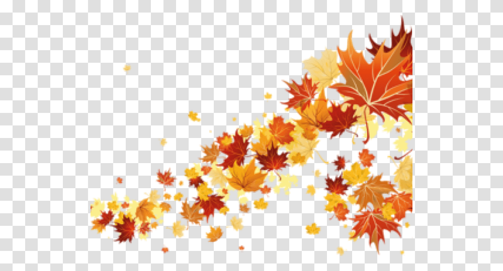 Fall Leaves Border, Leaf, Plant, Chandelier, Lamp Transparent Png
