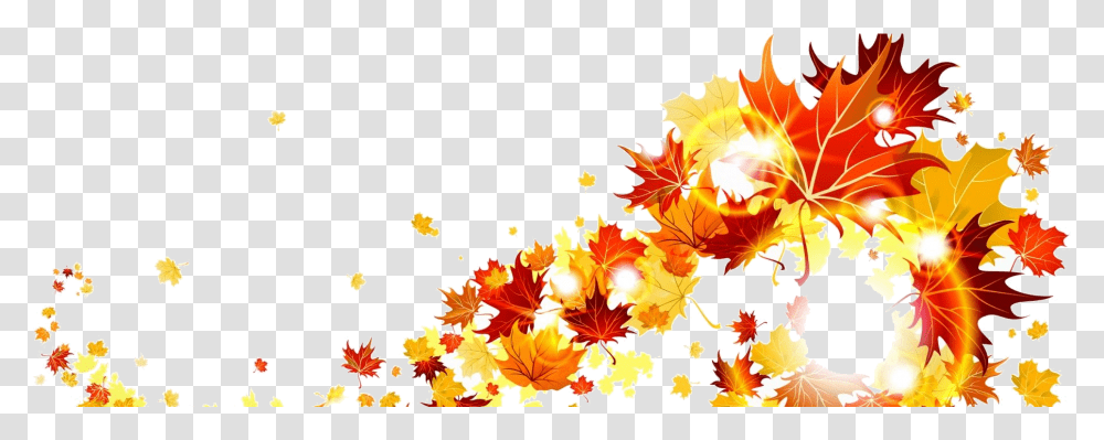 Fall Leaves Border, Leaf, Plant, Maple, Tree Transparent Png