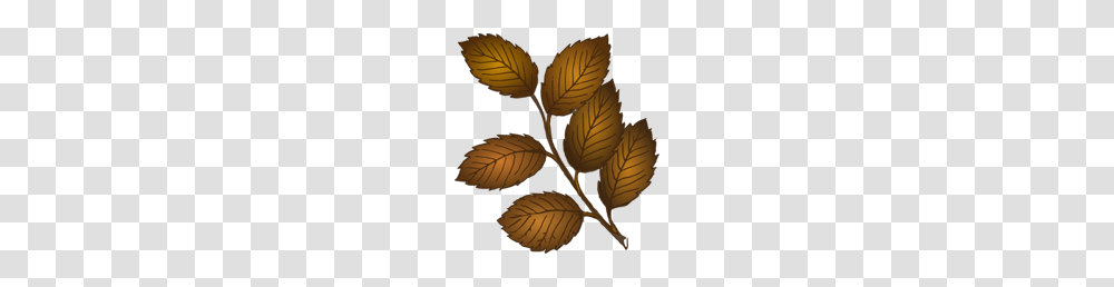 Fall Leaves Branch Clip Art For Web, Leaf, Plant, Tree, Green Transparent Png