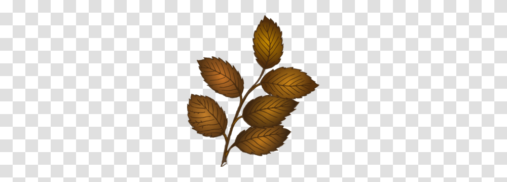 Fall Leaves Branch Clip Art, Leaf, Plant, Acanthaceae, Flower Transparent Png