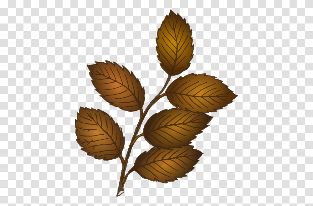 Fall Leaves Branch Clip Art, Leaf, Plant, Green, Planter Transparent Png
