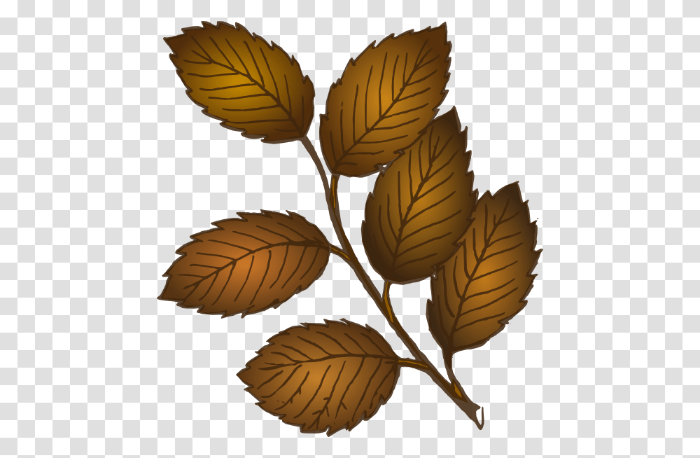 Fall Leaves Branch Svg Clip Arts Brown Leaves Clipart, Leaf, Plant, Potted Plant, Vase Transparent Png