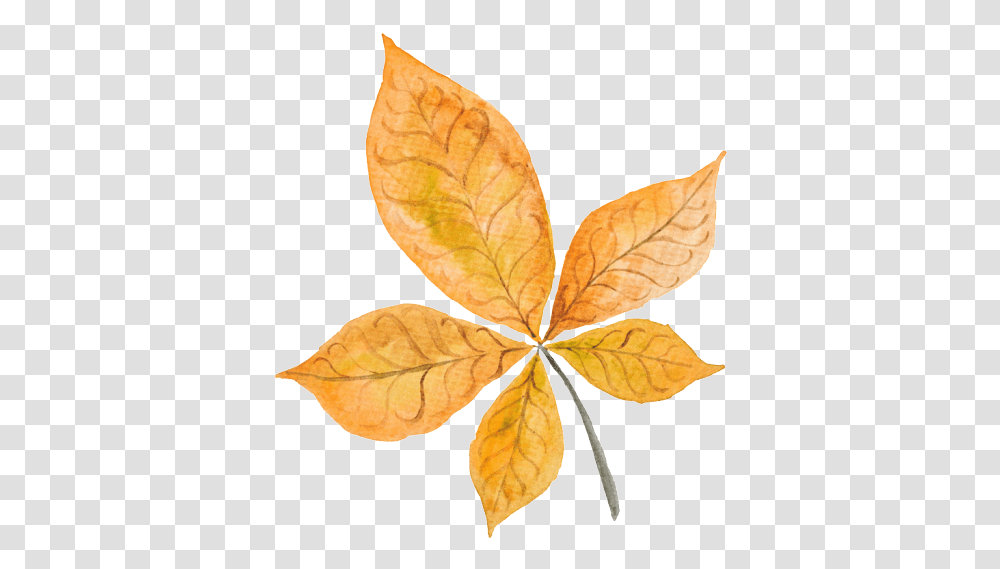 Fall Leaves Bullet Journal, Leaf, Plant, Veins Transparent Png