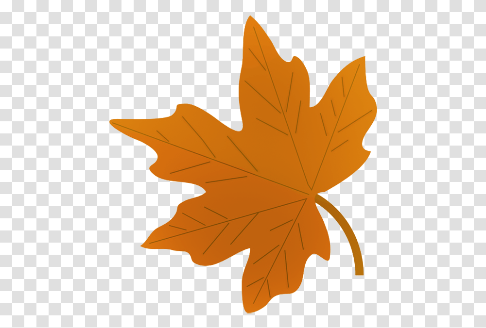 Fall Leaves Clip Art Beautiful Autumn Clipart & Graphics Fall Leaf Clip Art, Plant, Tree, Maple Leaf Transparent Png