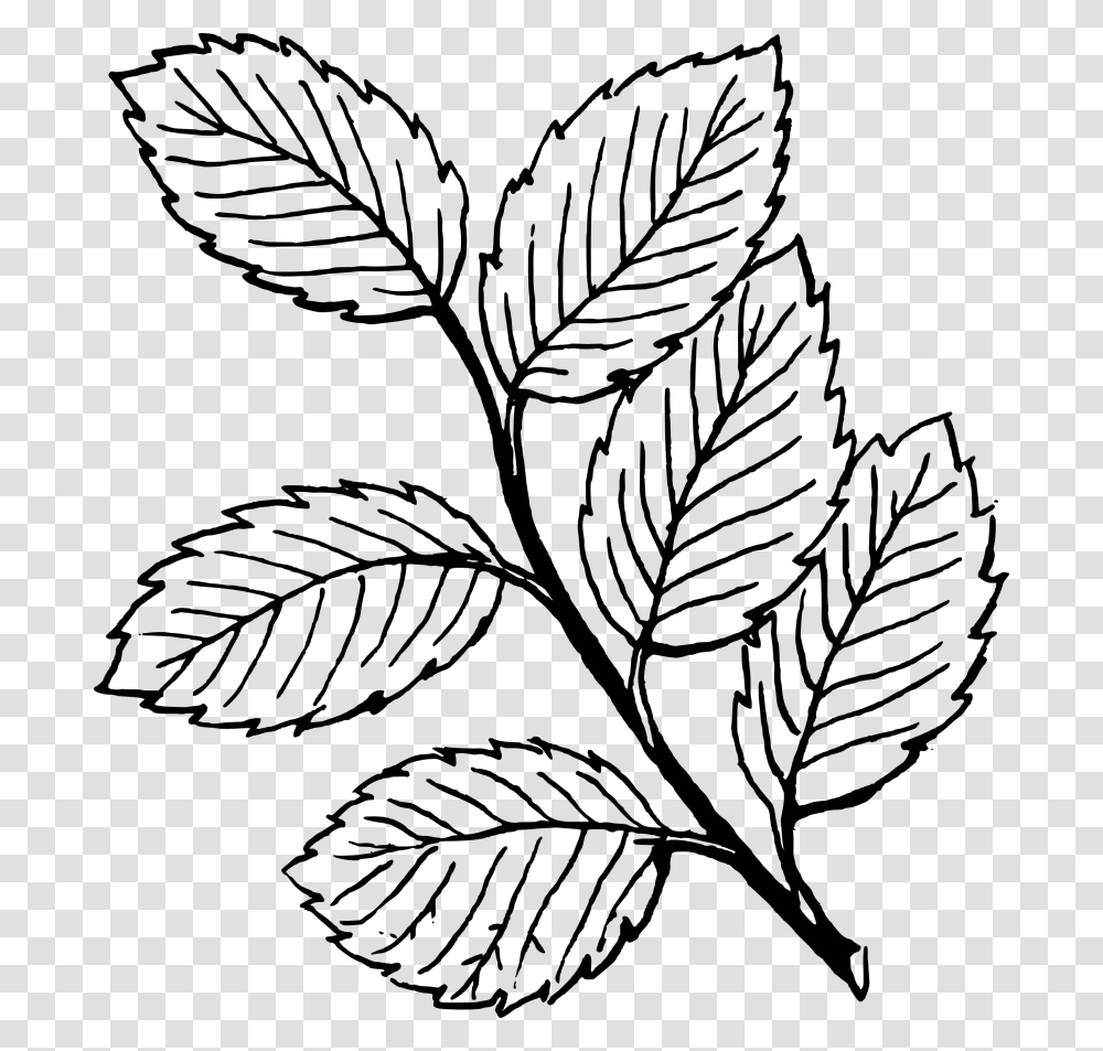 Fall Leaves Clip Art Black And White, Gray, World Of Warcraft Transparent Png