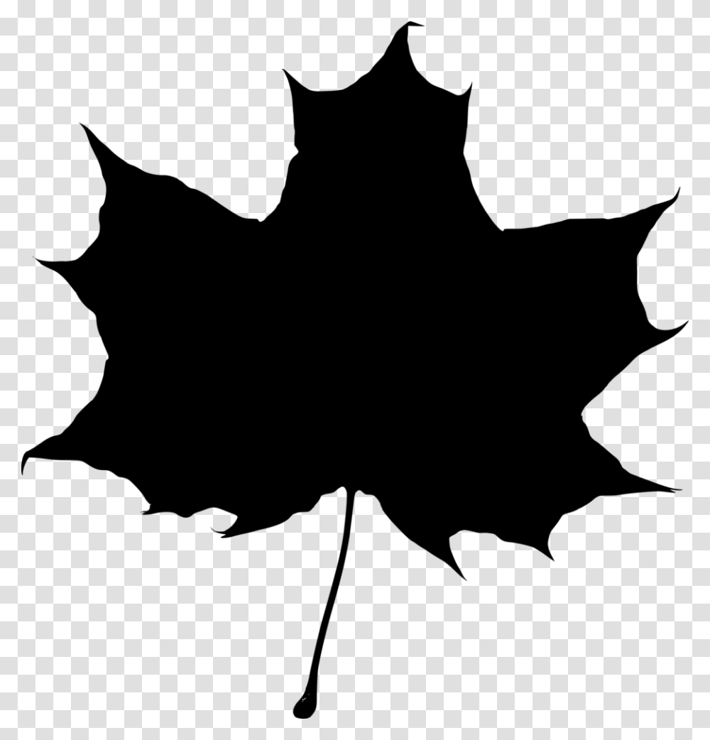 Fall Leaves Clip Art Black And White Question Mark Clipart, Gray, World Of Warcraft Transparent Png