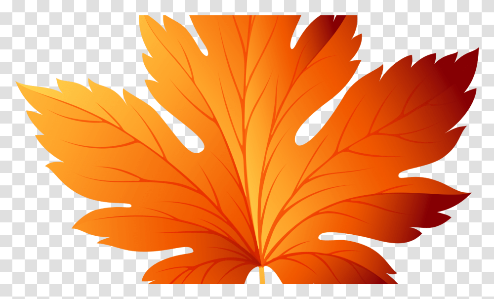 Fall Leaves Clip Art Fall Leaf Clipart Color, Plant, Tree, Flower, Blossom Transparent Png