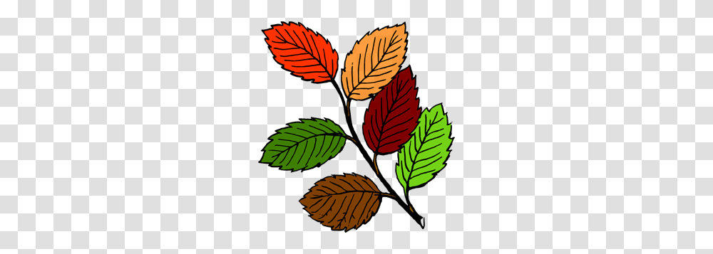 Fall Leaves Clip Art For Web, Leaf, Plant, Green, Flower Transparent Png