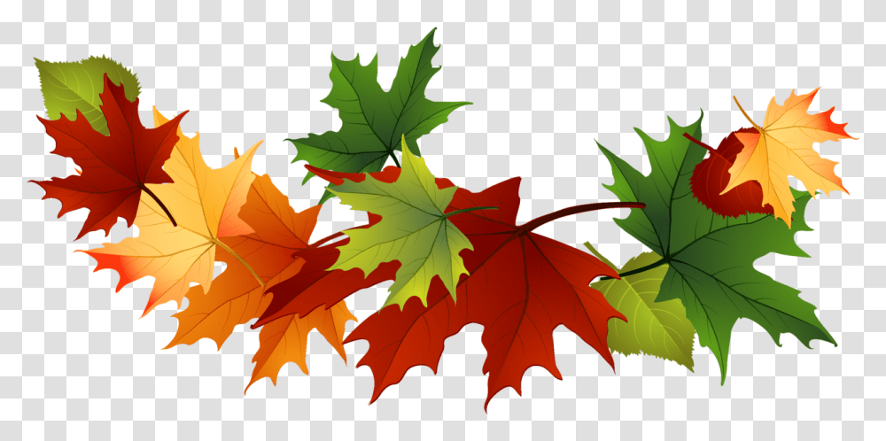 Fall Leaves Clip Art Free Fall Leaves, Leaf, Plant, Tree, Maple Transparent Png