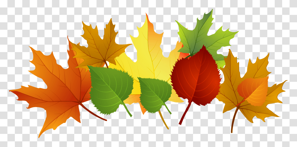 Fall Leaves Clip Art Free Leaves Clipart Falling Autumn, Leaf, Plant, Tree, Maple Leaf Transparent Png