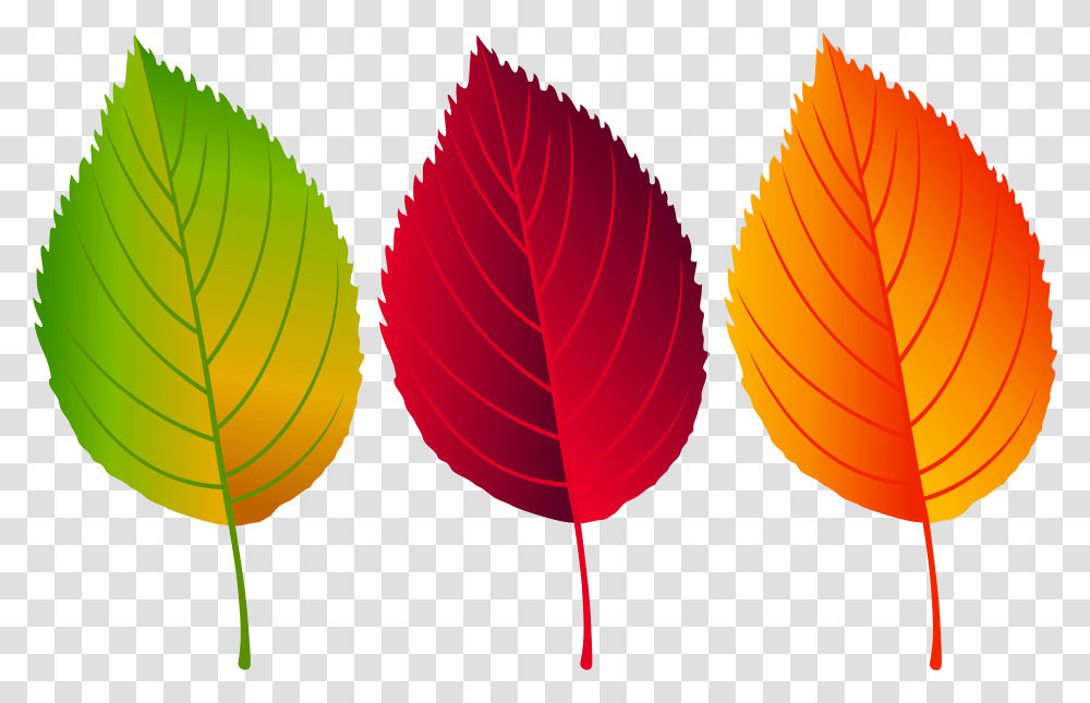 Fall Leaves Clip Art Image Is Available For Free Colorful Fall Leaves Clip Art, Ornament, Leaf, Plant, Pattern Transparent Png