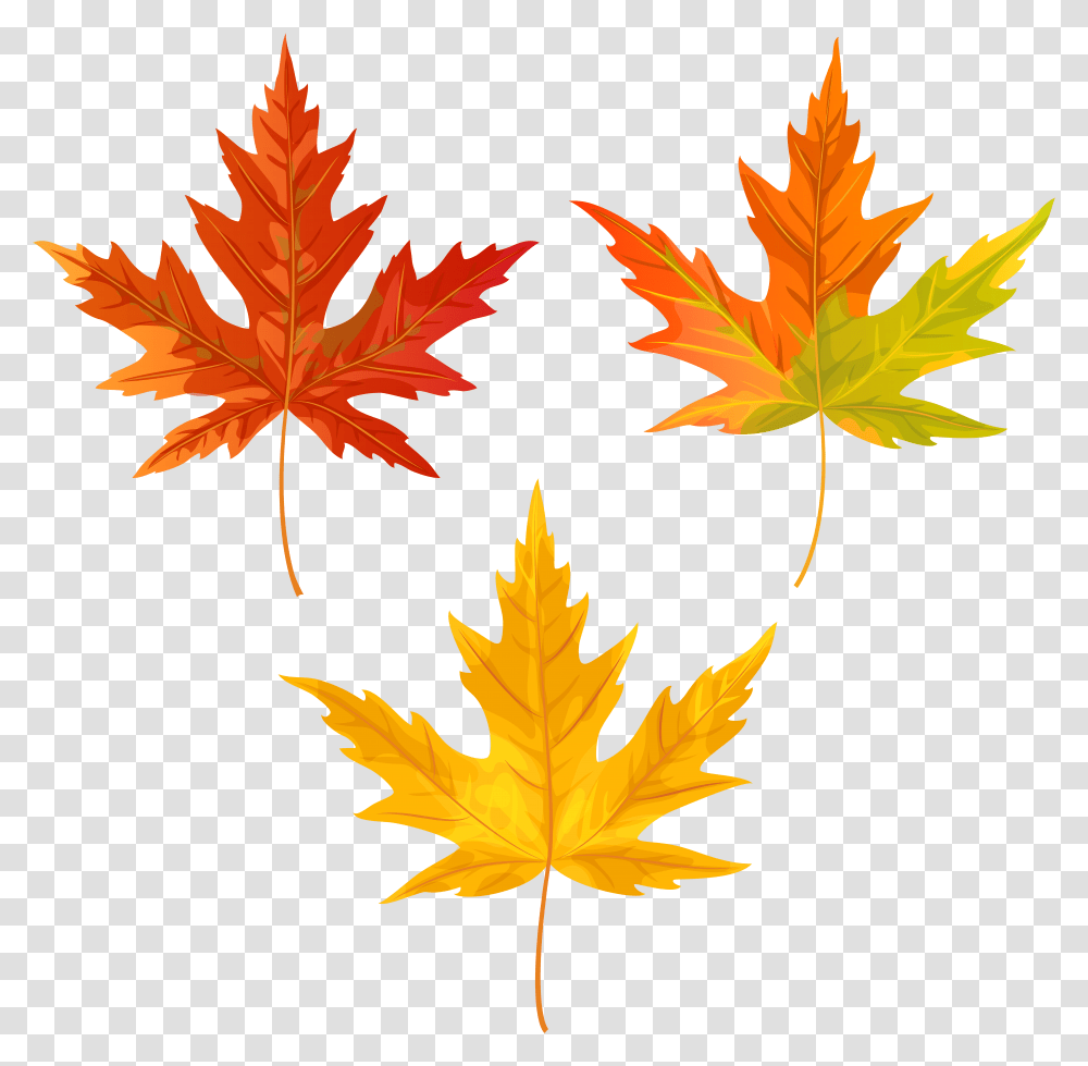 Fall Leaves Clip Art Image Is Available For Free, Leaf, Plant, Tree, Maple Transparent Png