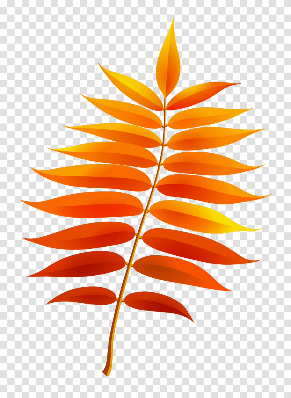 Fall Leaves Clip Art, Leaf, Plant, Tree Transparent Png